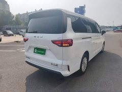 Beijing Ruisheng Wangpai M7 2023 2.0L Automatic Long Wheelbase Creative Enjoy 7-Seater - ფოტო 7