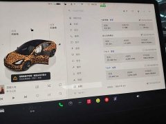 Tesla Model 3 Rear-Wheel Drive - ფოტო 8