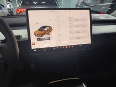 Tesla Model 3 Rear-Wheel Drive - ფოტო 9