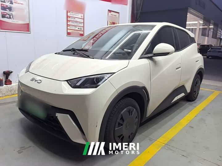 BYD Seagull Glory Edition 305km Vitality Version