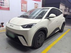 BYD Seagull Glory Edition 305km Vitality Version - ფოტო 1