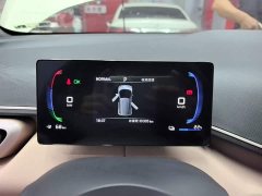 BYD Seagull Glory Edition 305km Vitality Version - ფოტო 12