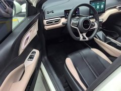 BYD Seagull Glory Edition 305km Vitality Version - ფოტო 16