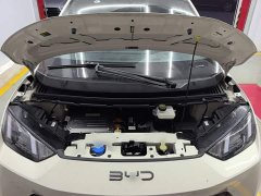 BYD Seagull Glory Edition 305km Vitality Version - ფოტო 20