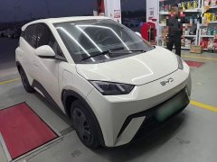 BYD Seagull Glory Edition 305km Vitality Version - ფოტო 4