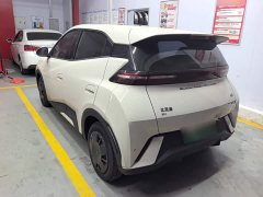 BYD Seagull Glory Edition 305km Vitality Version - ფოტო 5