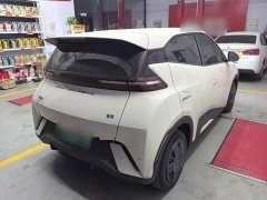 BYD Seagull Glory Edition 305km Vitality Version - ფოტო 7