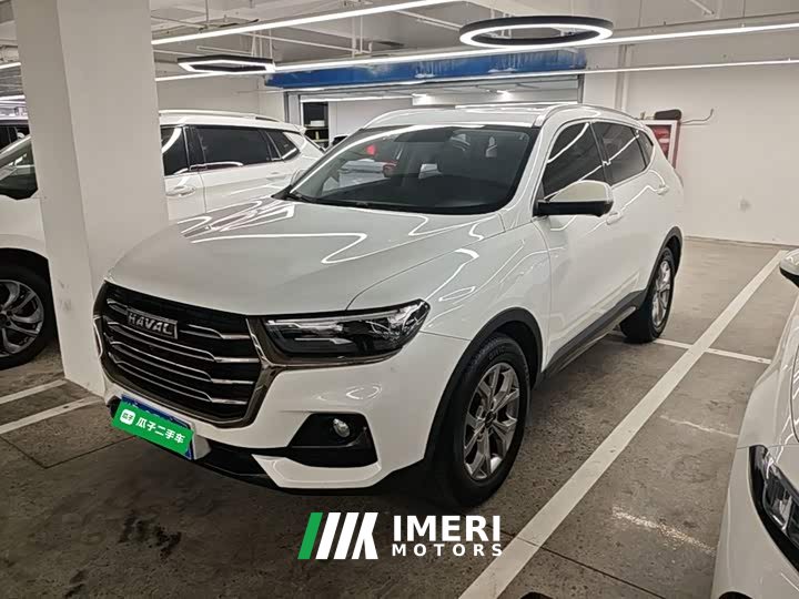 Haval H6 National Trend 1.5T Automatic Champion Edition - ავტომობილი ჩინეთიდან