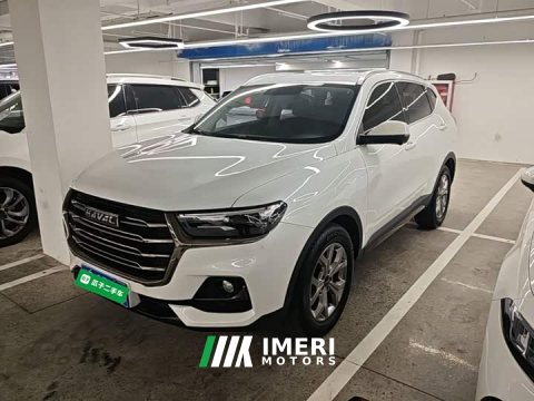 2021 Haval H6 National Trend 1.5T Automatic Champion Edition - ავტომობილი ჩინეთიდან