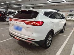 Haval H6 National Trend 1.5T Automatic Champion Edition - ფოტო 7