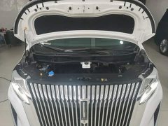 Great Wall WEY Shanshan New Energy Four-Wheel Drive Shanshan 9 - ფოტო 20