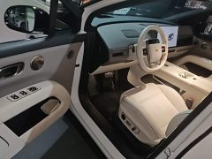 Li Auto i6 Two-Wheel Drive Standard - ფოტო 16