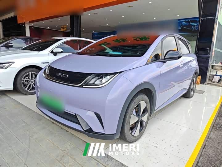 BYD Dolphin 420km Freedom Edition