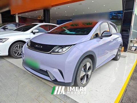 2024 BYD Dolphin 420km Freedom Edition