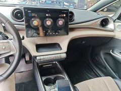 BYD Dolphin 2023 420km Freedom Edition - ფოტო 10