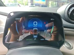 BYD Dolphin 2023 420km Freedom Edition - ფოტო 12