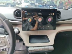 BYD Dolphin 2023 420km Freedom Edition - ფოტო 13
