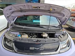 BYD Dolphin 2023 420km Freedom Edition - ფოტო 20