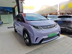 BYD Dolphin 2023 420km Freedom Edition - ფოტო 4