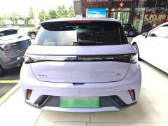 BYD Dolphin 2023 420km Freedom Edition - ფოტო 6