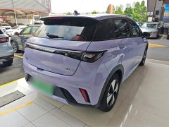 BYD Dolphin 2023 420km Freedom Edition - ფოტო 7