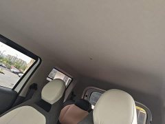 Geely Panda Mini 210km Vitality Edition - ფოტო 18