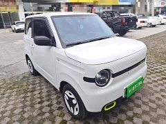 Geely Panda Mini 210km Vitality Edition - ფოტო 4