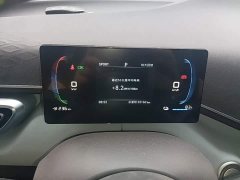 BYD Seagull 2023 Freedom Edition - ფოტო 12