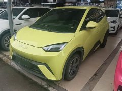 BYD Seagull 2023 Freedom Edition - ფოტო 2