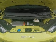 BYD Seagull 2023 Freedom Edition - ფოტო 20