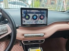 BYD Seagull Freedom Edition - ფოტო 13
