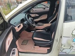 BYD Seagull Freedom Edition - ფოტო 15