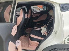 BYD Seagull Freedom Edition - ფოტო 17
