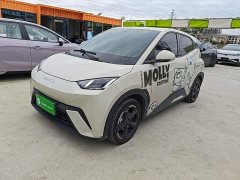 BYD Seagull Freedom Edition - ფოტო 2