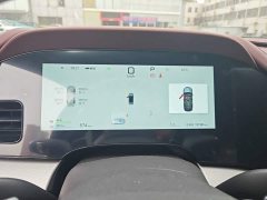 BYD Dolphin 07 DM-i 2026 DM-i 1.5T 230km Flagship - ფოტო 12