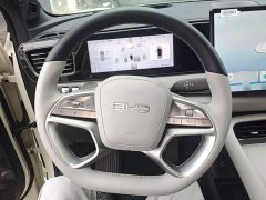BYD Haima Sealion 06 DM-i 205 Pilot Plus - ფოტო 11