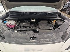 BYD Haima Sealion 06 DM-i 205 Pilot Plus - ფოტო 20