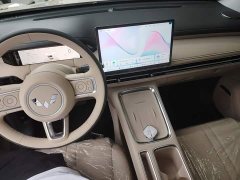 Wuling Bingo S 2025 430km Flagship - ფოტო 10
