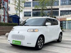 Ora White Cat 2022 Upgrade 305km Luxury Trim Ternary Lithium Battery - ფოტო 1