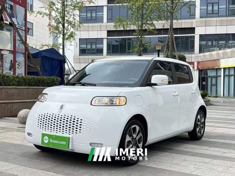 2021 Ora White Cat 2022 Upgrade 305km Luxury Trim Ternary Lithium Battery - ავტომობილი ჩინეთიდან