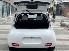 Ora White Cat 2022 Upgrade 305km Luxury Trim Ternary Lithium Battery - ფოტო 19
