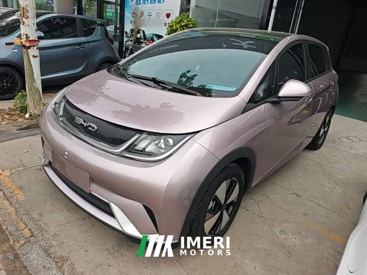 BYD Dolphin 420km Fashion Edition