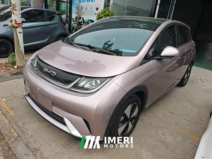 BYD Dolphin 420km Fashion Edition - ავტომობილი ჩინეთიდან