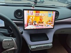 BYD Dolphin 420km Fashion Edition - ფოტო 13
