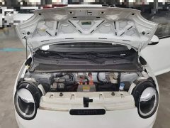 Changan Lumin 205km Xiangqin Edition - ფოტო 20