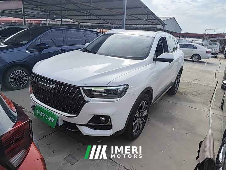 Haval H6 National Trend Edition 1.5T Automatic Champion Version - ავტომობილი ჩინეთიდან