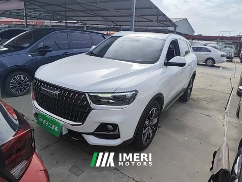 2023 Haval H6 National Trend Edition 1.5T Automatic Champion Version - ავტომობილი ჩინეთიდან