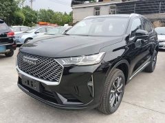 Haval H6 2024 1.5T Two-Wheel Drive Classic Edition - ფოტო 1