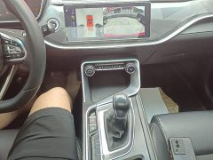 Geely Binrui 1.4T CVT Asian Games Edition - ფოტო 14