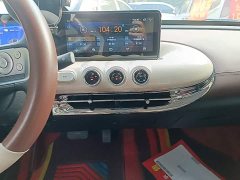 Wuling Binguo 333km Joy Edition - ფოტო 13